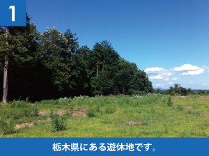 栃木県にある遊休地です